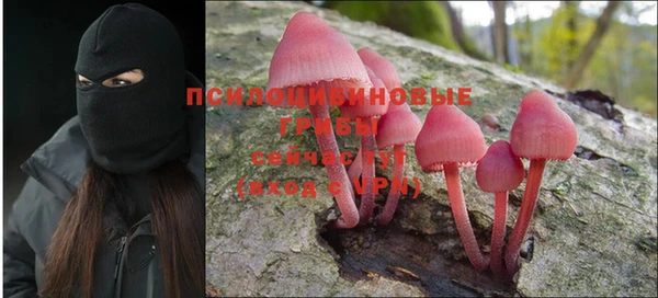 прущая мука Ветлуга
