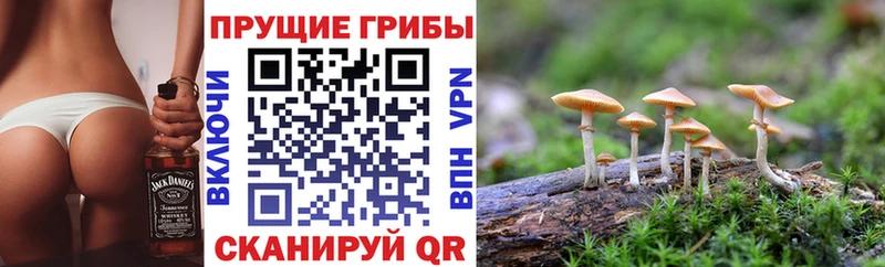 Галлюциногенные грибы мицелий Туран